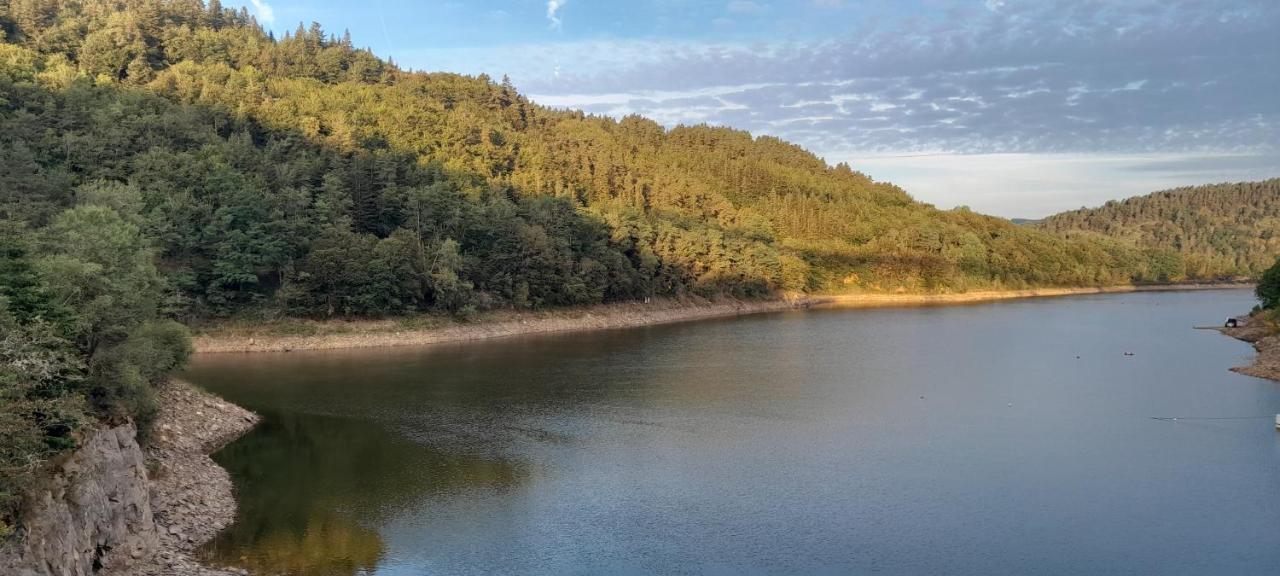 Relais Du Lac De La Truyere Anglards-de-Saint-Flour Kültér fotó